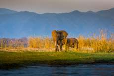 Featured Photo2 - PRIME ZAMBEZI RIVER LODGE DEVELOPMENT OPPORTUNITY