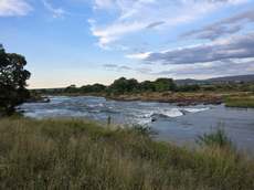 Photo - 721 ha Bushveld Game Farm with Game, Marble Hall District