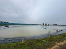 Featured Photo2 - Blueberry Intensive Irrigation Farms near Worcester & Rawsonville