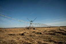 Featured Photo2 - AUCTION SALE - VAALHARTS IRRIGATION FARM (±193.7 HA)