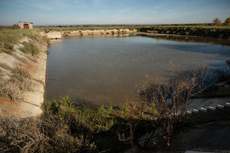 Featured Photo2 - AUCTION SALE - VAALHARTS IRRIGATION FARM (±193.7 HA)