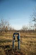 Featured Photo2 - AUCTION SALE - VAALHARTS IRRIGATION FARM (±193.7 HA)