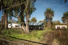 Featured Photo2 - AUCTION SALE - VAALHARTS IRRIGATION FARM (±193.7 HA)