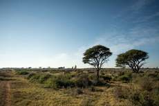 Featured Photo2 - AUCTION SALE - VAALHARTS IRRIGATION FARM (±193.7 HA)