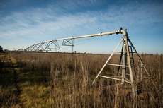 Featured Photo2 - AUCTION SALE - VAALHARTS IRRIGATION FARM (±193.7 HA)