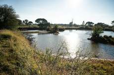 Featured Photo2 - AUCTION SALE - VAALHARTS IRRIGATION FARM (±193.7 HA)