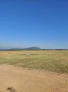 Featured Photo2 - BARBERTON PYRAMID AIRFIELD - A HANGAR, VACANT STAND AND JORA UA2 AIRCRAFT