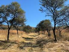 Featured Photo2 - Game farm with panoramic views, on foot of Steenkamsberg Mountains, Lydenburg