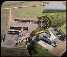 Photo - DECEASED ESTATE PROPERTY ONLINE & ON-SITE AUCTION, BALFOUR, MP