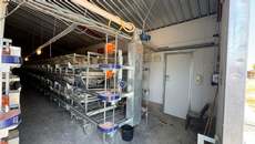Featured Photo2 - BUSINESS RESCUE - 20HA POULTRY FARM WITH BREEDING BATTERY, OFFICES & DWELLING